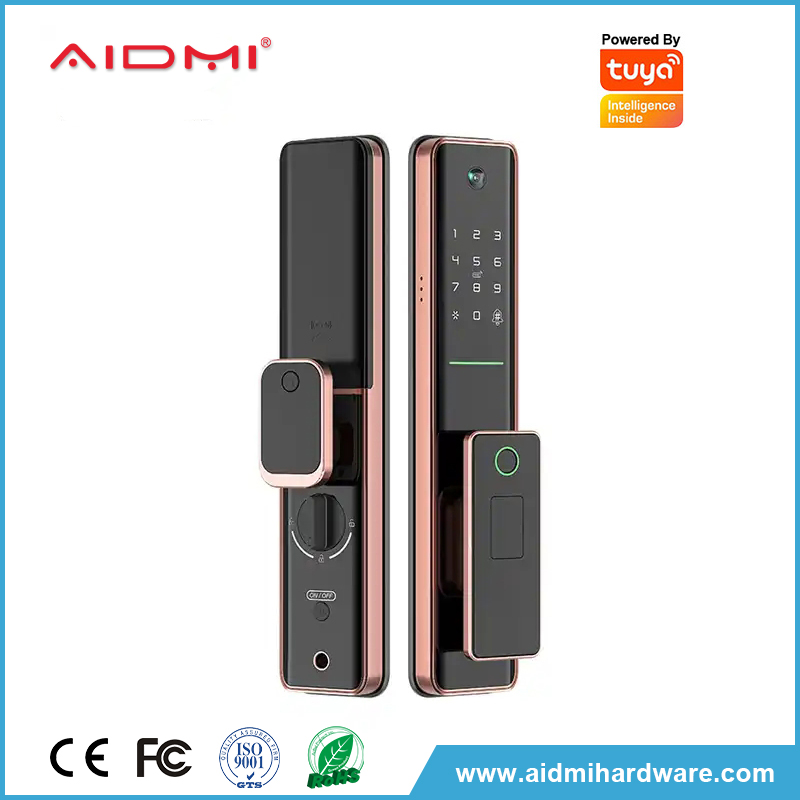 Smart door Lock Cerradura de puerta inteligente