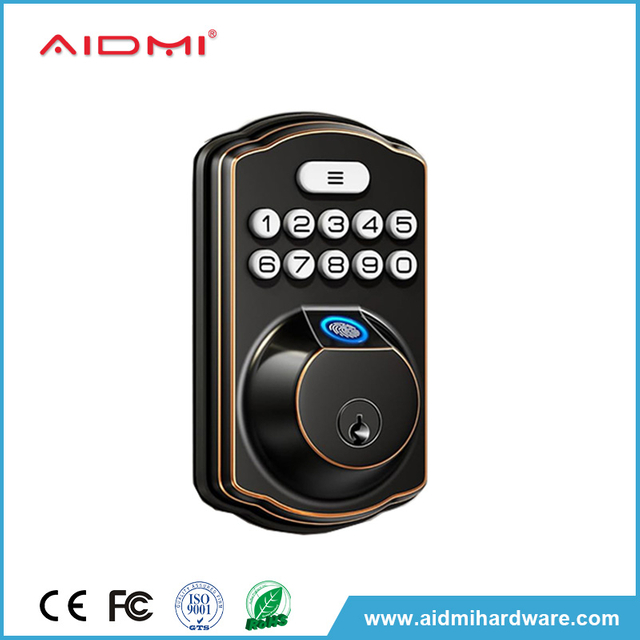 Cerradura de puerta con cerrojo electrónico para exteriores, frontal inteligente, de buena calidad, Aidimi