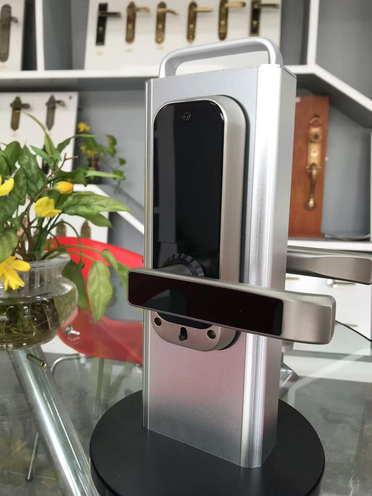 Locas de puertas de seguridad de acero