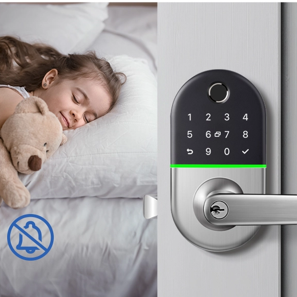 Asegurar su hogar con tecnología de entrada moderna